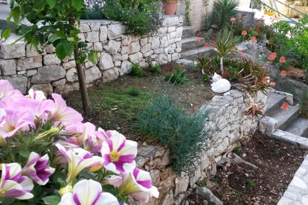 Mljet 2 You - Seafront Apartment 2+2 Sobra Exterior foto